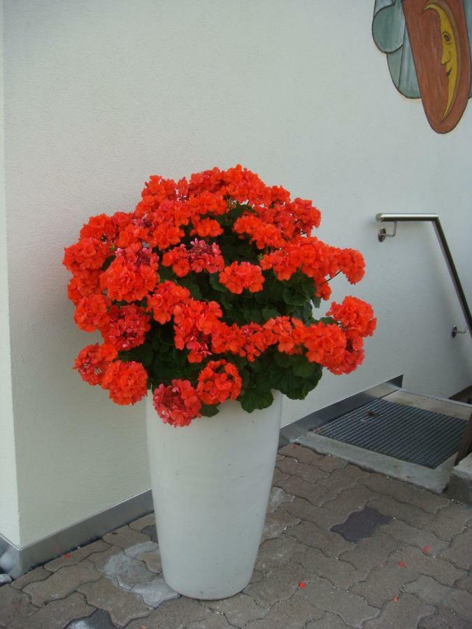 B&B Haus Gruener Olang Экстерьер фото